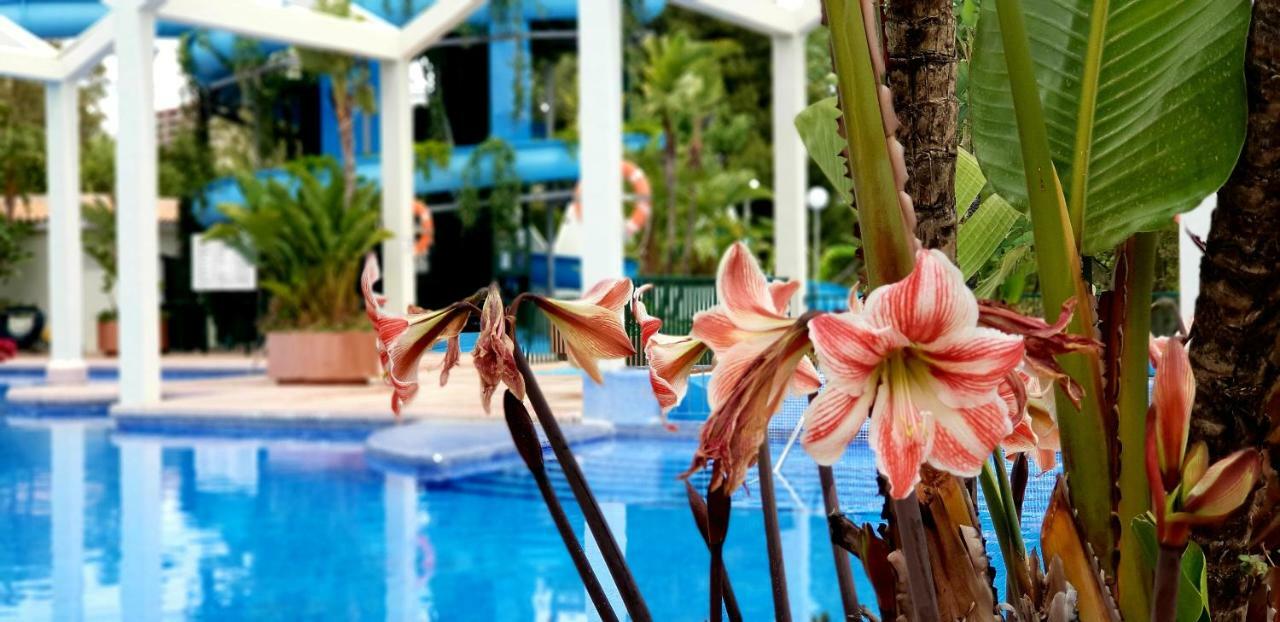 El Estudio De La Playa Benalbeach Holidays Deluxe Benalmádena Exteriör bild